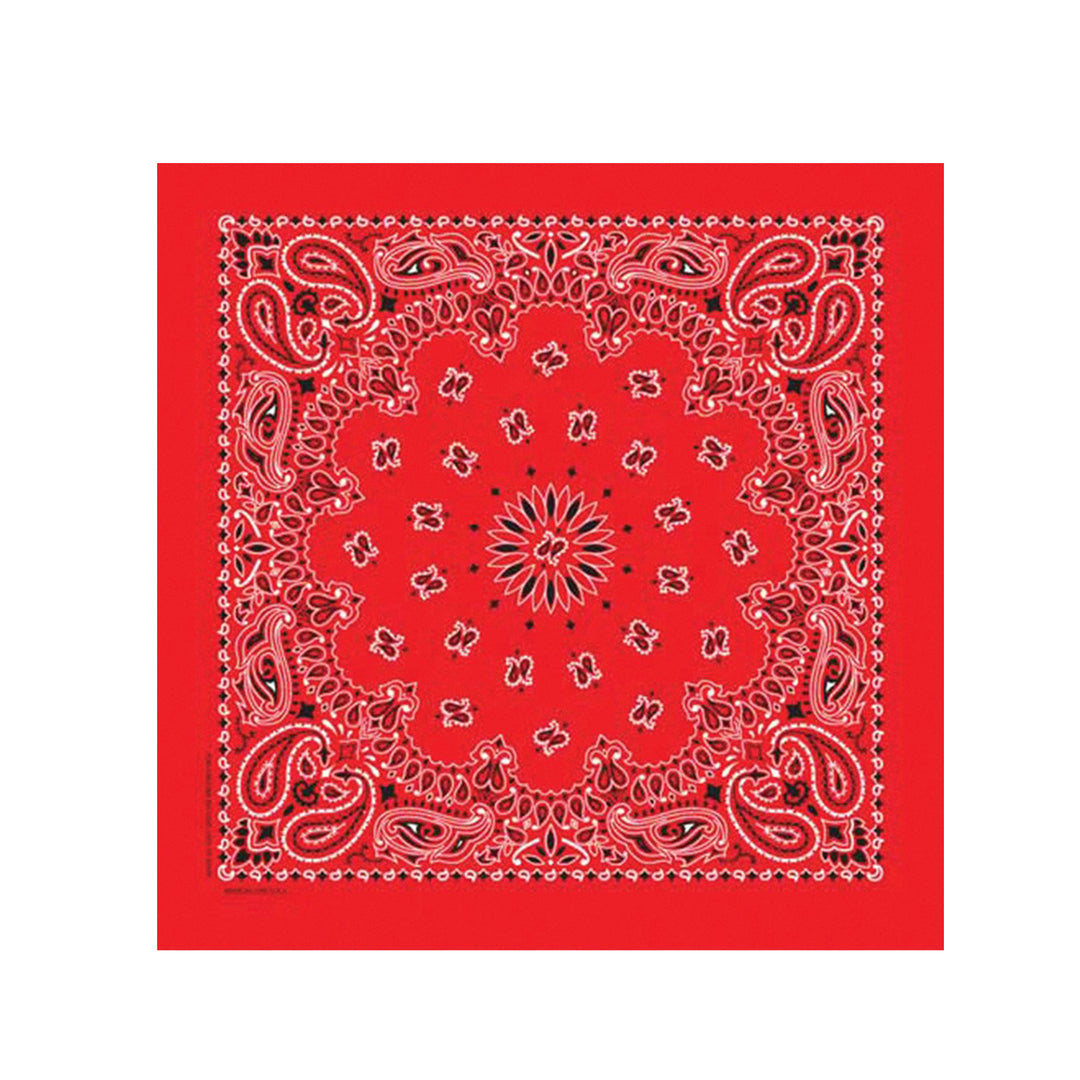 Red Paisley Bandana