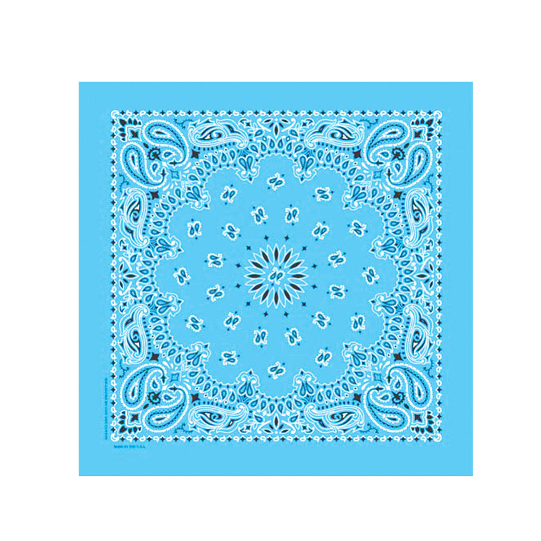 Light Blue Paisley Bandana