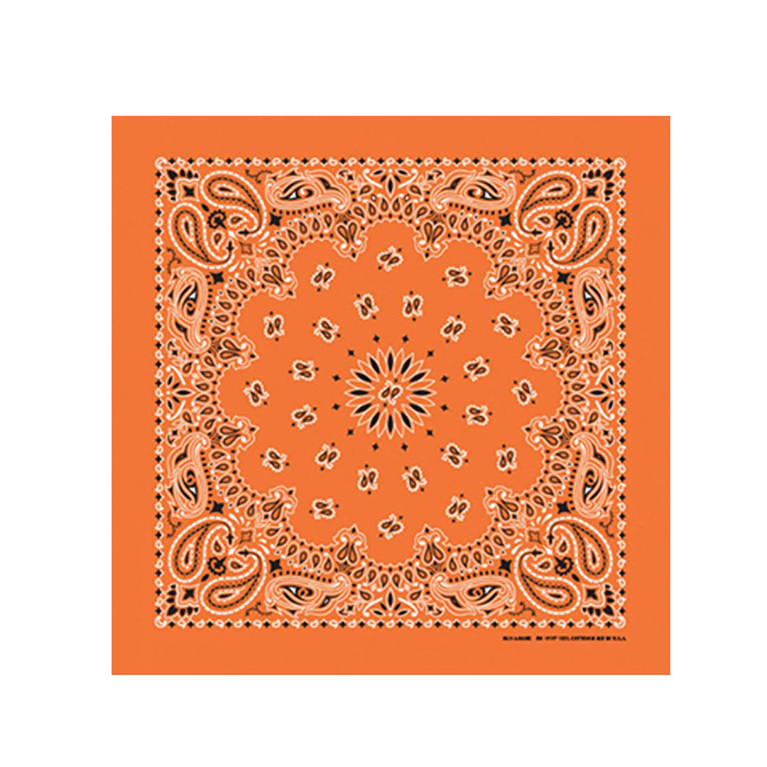 Orange Paisley Bandana
