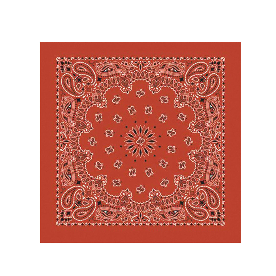 Terra Cotta Paisley Bandana