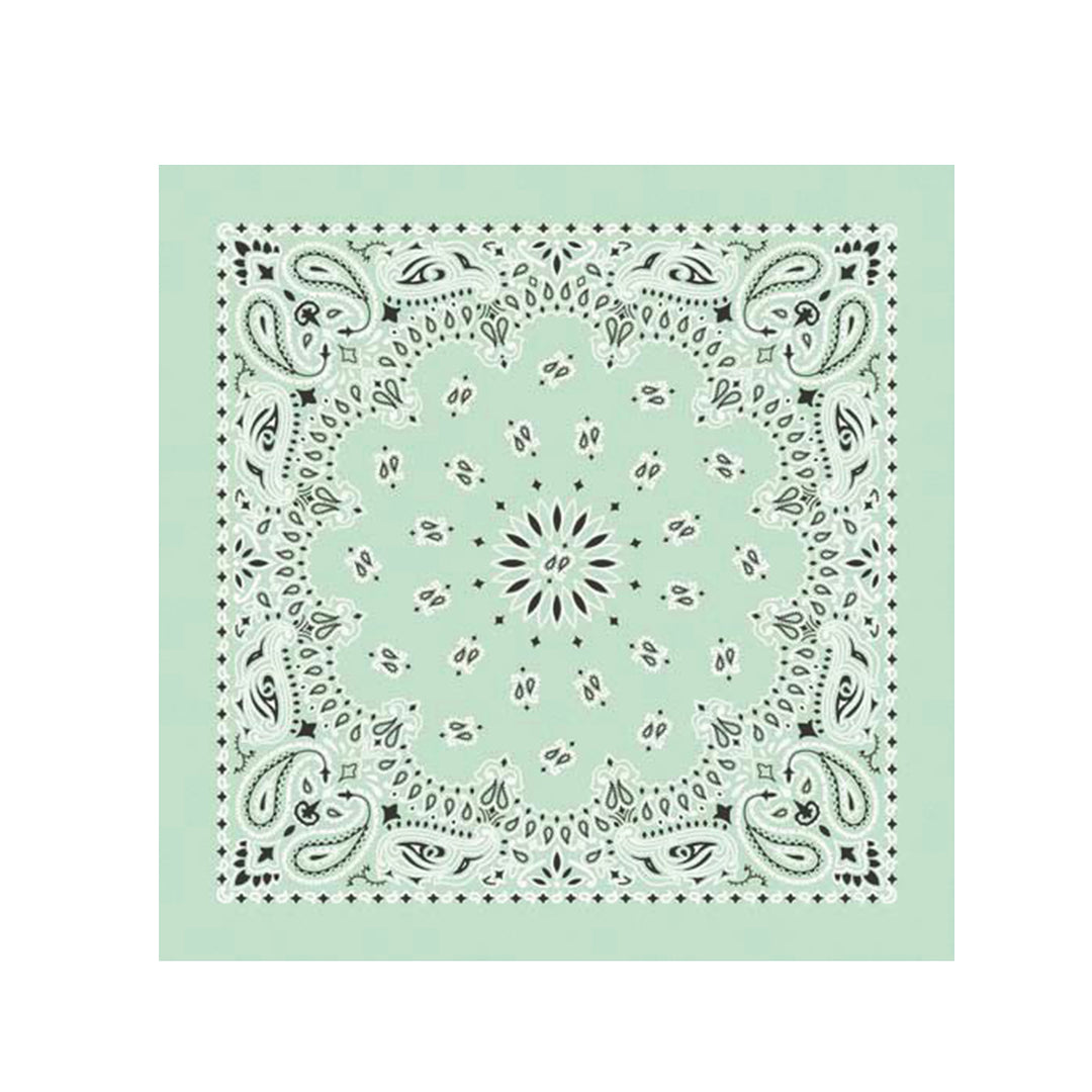 Mint Paisley Bandana