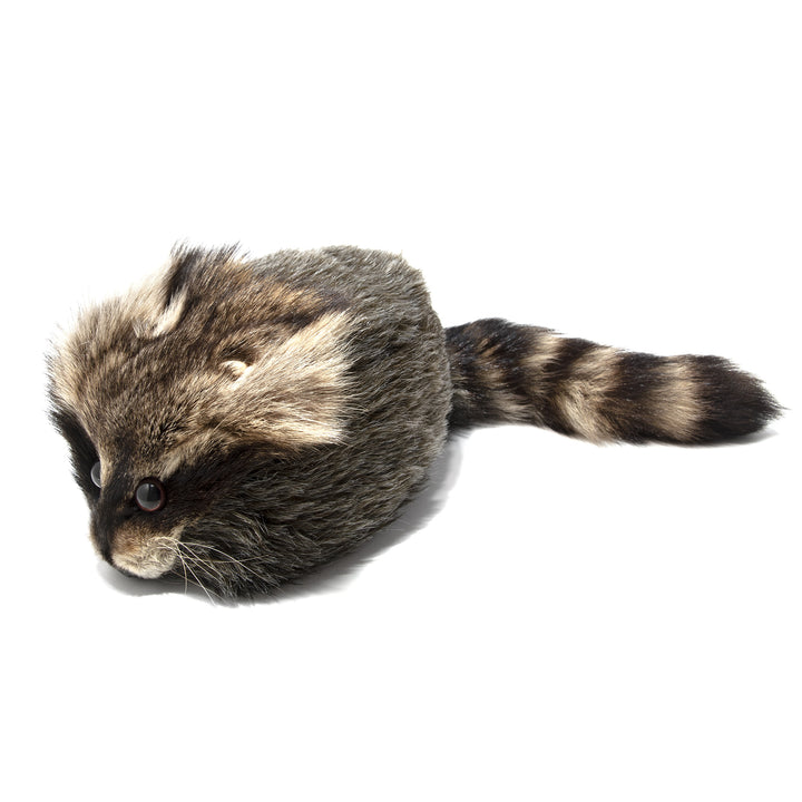 Coon Face Fur Cap