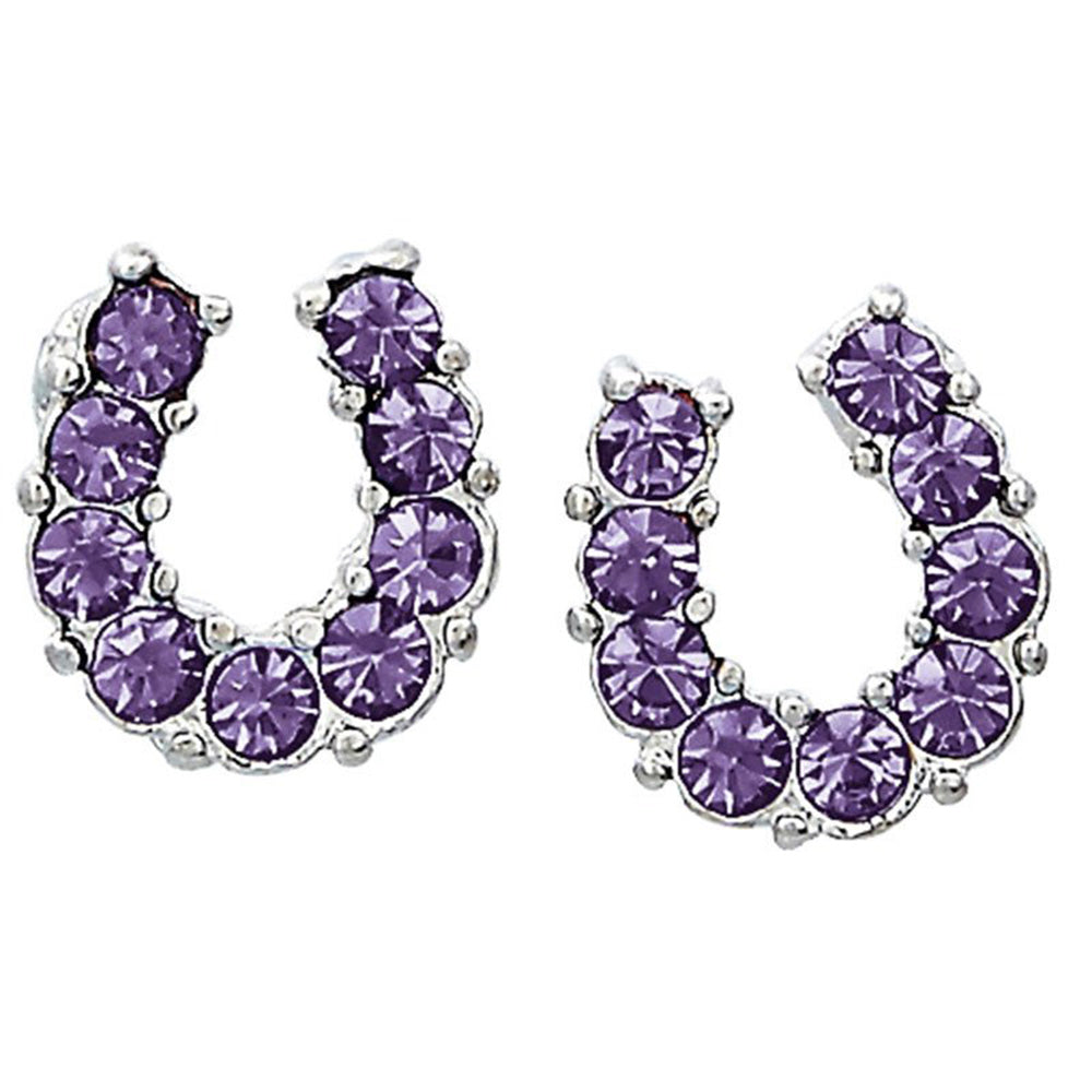 Purple Rhinestone Horseshoe Earrings in Pony Head Gift Box