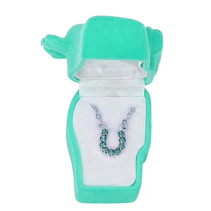 Aqua Rhinestone Horseshoe Necklace in Pony Head Gift Box
