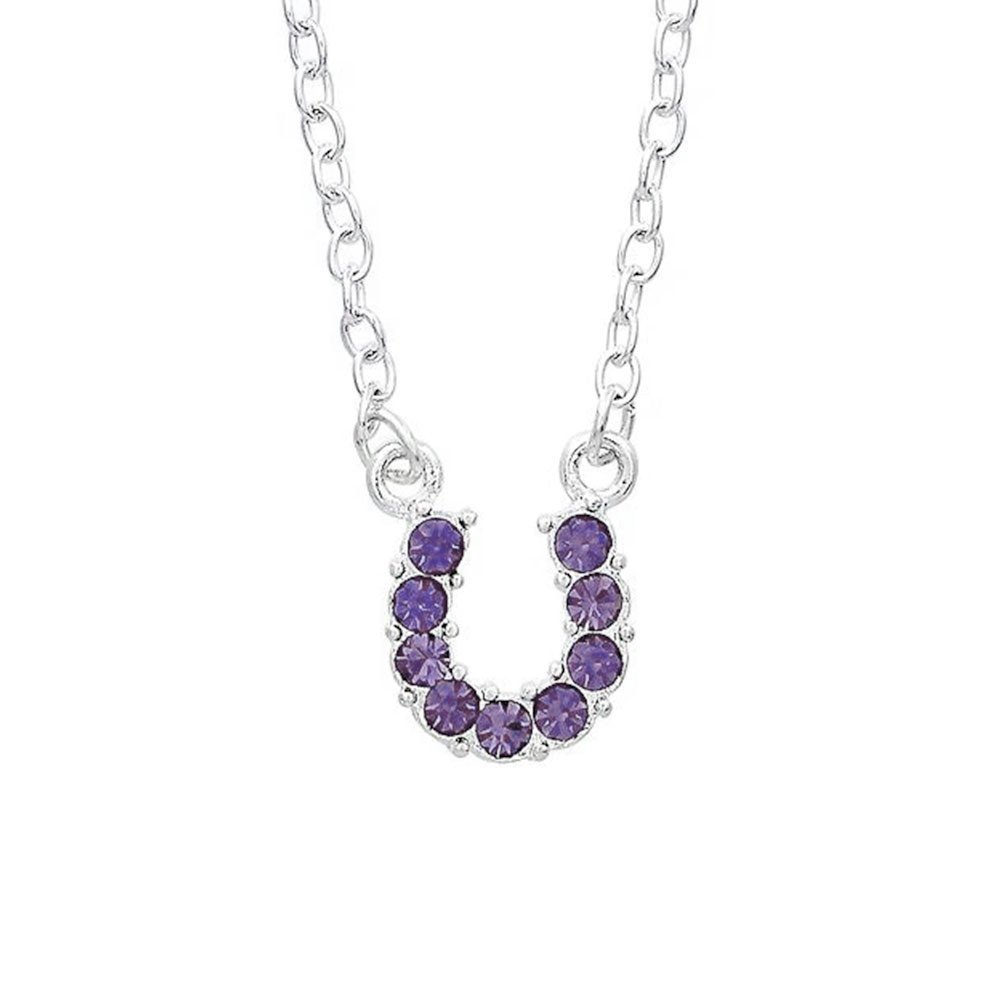 Purple Rhinestone Horseshoe Necklace in Pony Head Gift Box
