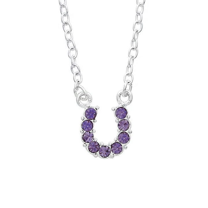 Purple Rhinestone Horseshoe Necklace in Pony Head Gift Box
